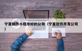 温县宁夏制作小程序好的公司（宁夏软件开发公司）
