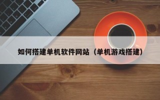 温县如何搭建单机软件网站（单机游戏搭建）